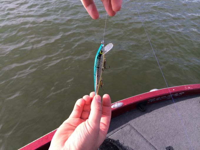 Hook Spring Help! - Fishing Tackle - Bass Fishing Forums