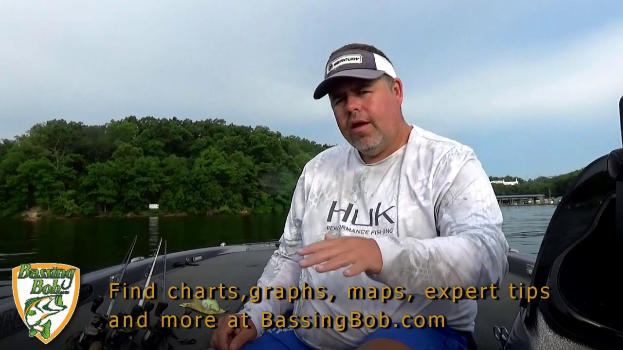 Tournament Pro Mark Wiese Discusses The Baits And Patterns 